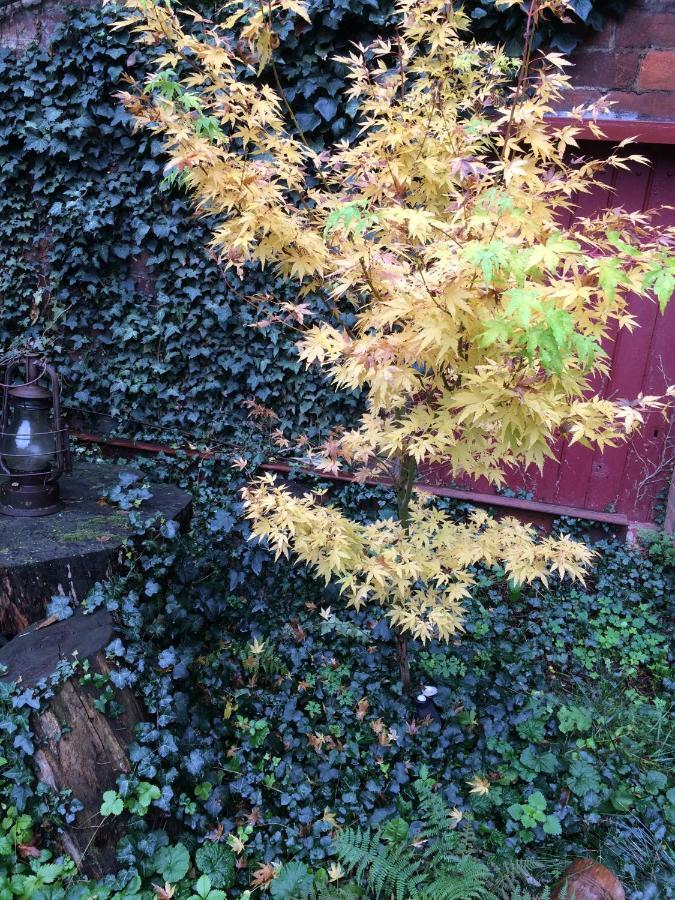 Minshuku Chambres D'Hotes Japonaises Thiers Eksteriør billede